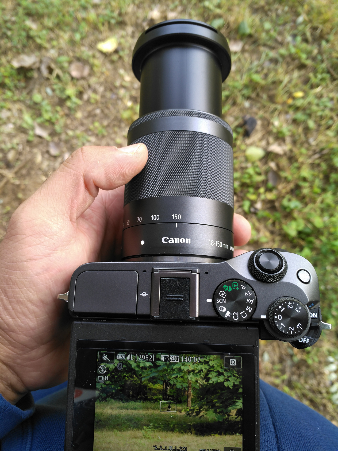 佳能eosm6二代拍照指南,佳能m6二代拍摄作品欣赏