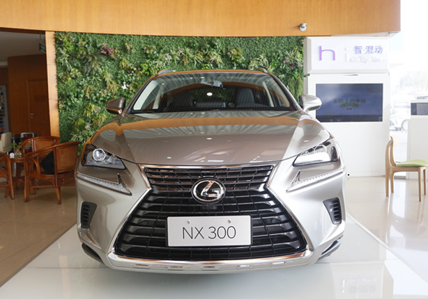 8万左右的雷克萨斯nx300,10多万的雷克萨斯nx300h