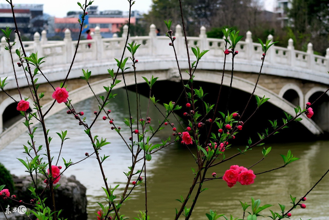 广西桂林两江四湖象山景区,广西桂林象山景区有什么玩