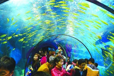 福建省福州市罗源县律师,福建省福州市罗源县起步镇