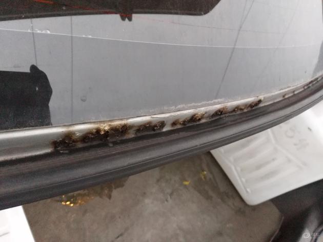 谈谈我对未来的展望,谈谈我未来的职业规划