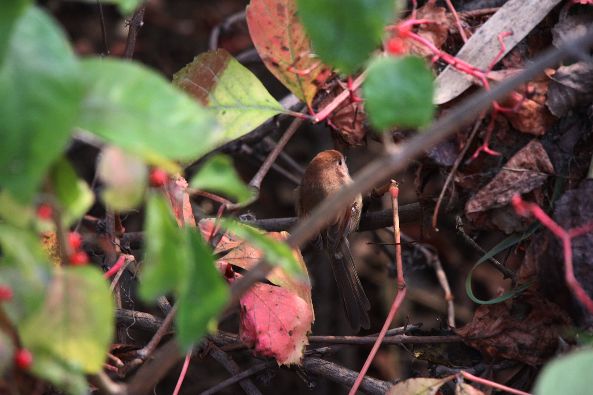 佳能eosm6二代拍照指南,佳能m6二代拍摄作品欣赏