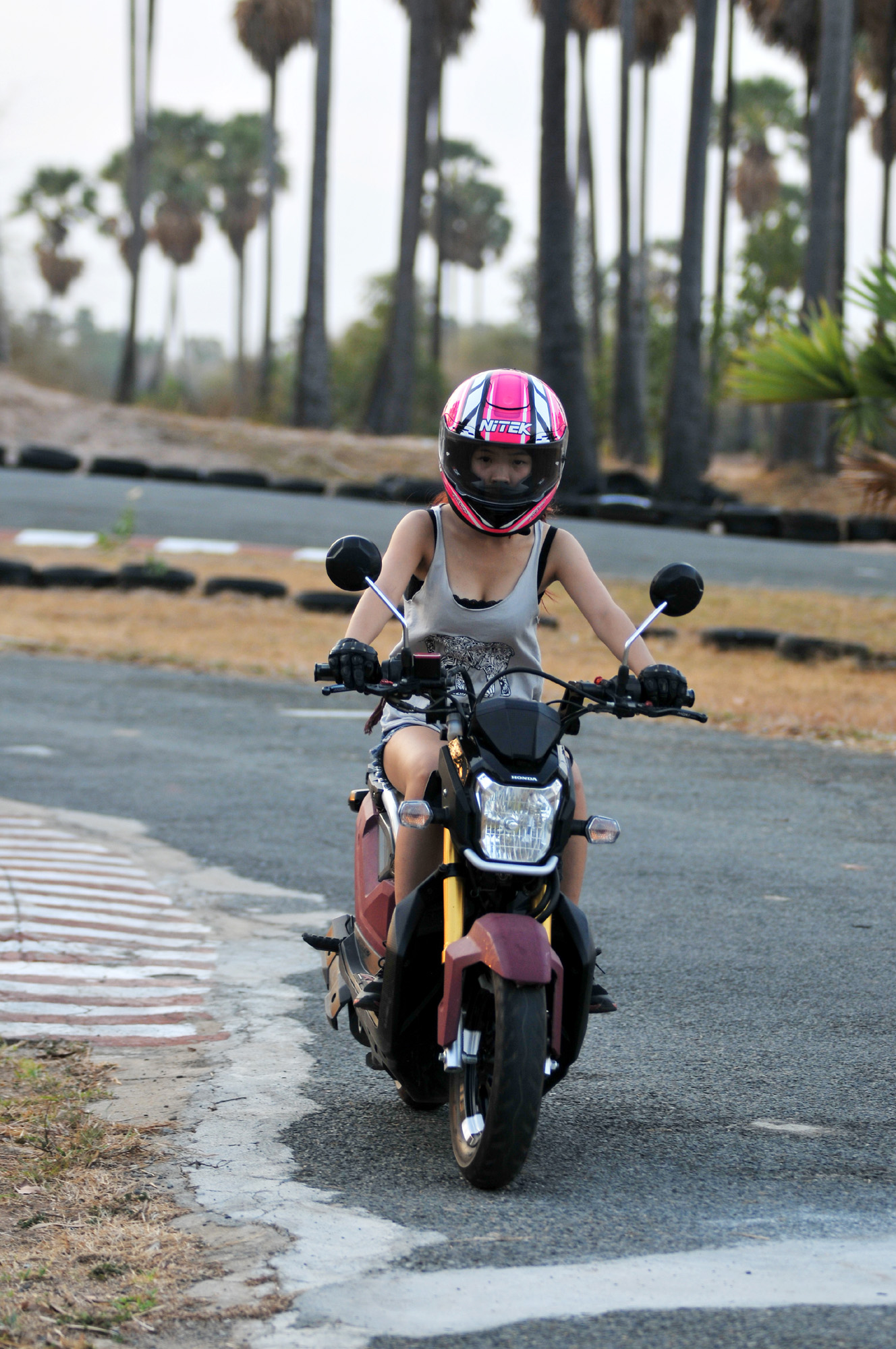 nitek璺戦瀷,nitek鏈敯