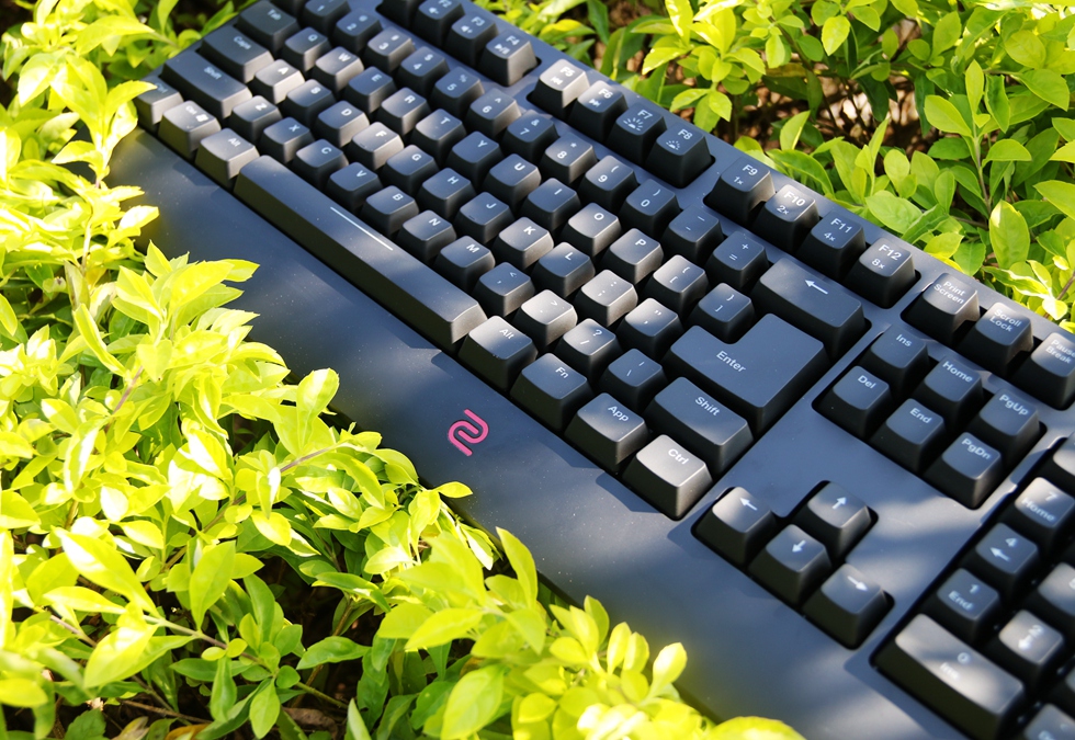 这个键盘头有些铁—ZOWIECELERITASII机械键盘