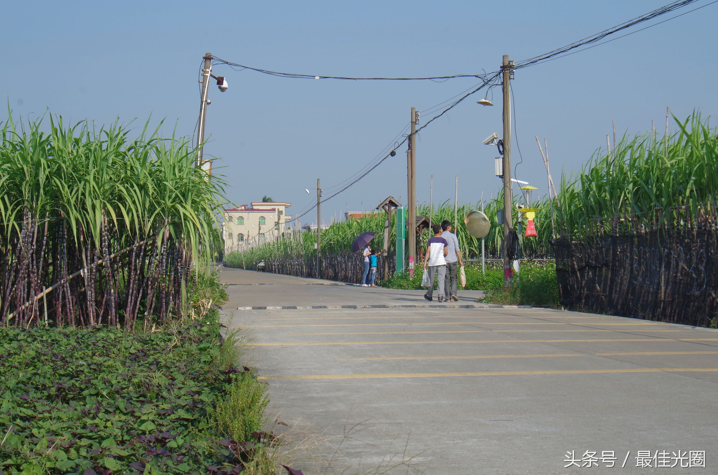 东涌绿道长廊有水玩吗,东涌绿道在哪里