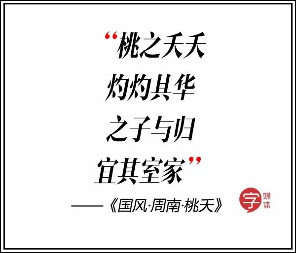 双宋cp大婚完整视频,双宋cp婚礼是真的吗