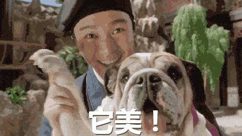 双宋cp大婚完整视频,双宋cp婚礼是真的吗