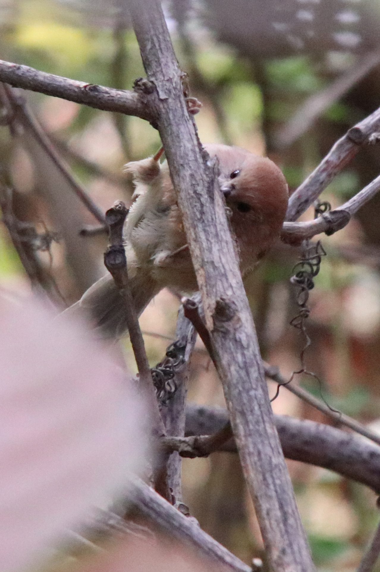 佳能eosm6二代拍照指南,佳能m6二代拍摄作品欣赏