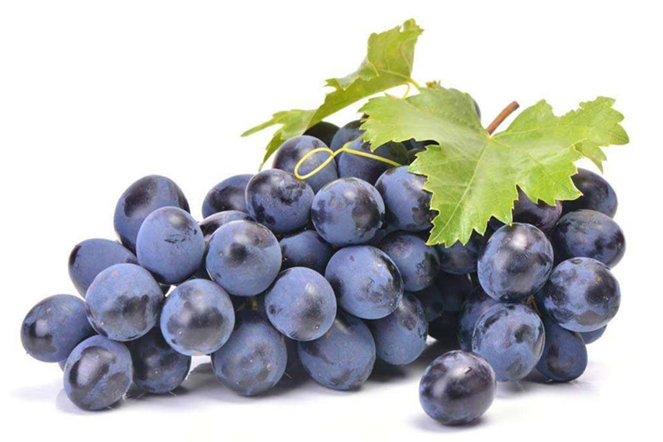 秋季补当正时，但大部分的人都是不分虚实乱补，你有没补错？