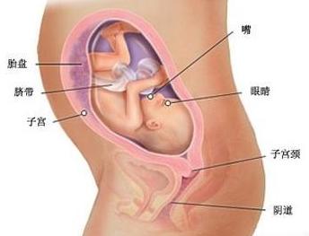 关系到宝妈和宝宝的健康，孕妇用药一定要关注这些