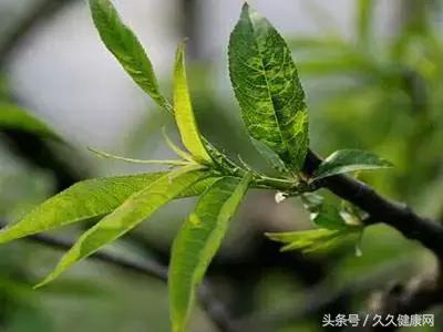 狐臭冬天怎么护理最好,冬天狐臭根除最好方法