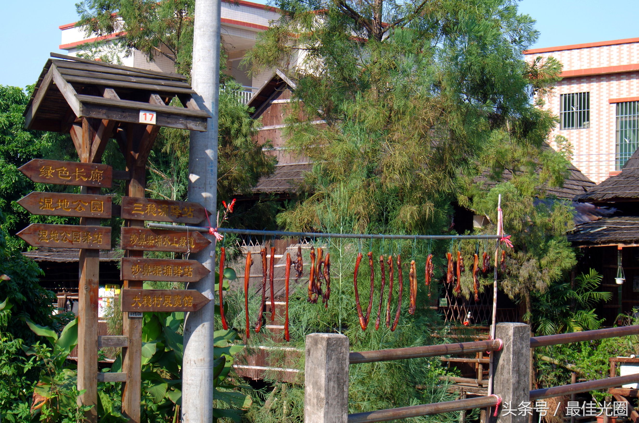 东涌绿道长廊有水玩吗,东涌绿道在哪里