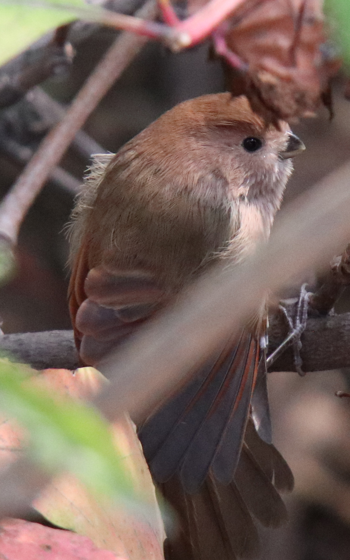 佳能eosm6二代拍照指南,佳能m6二代拍摄作品欣赏