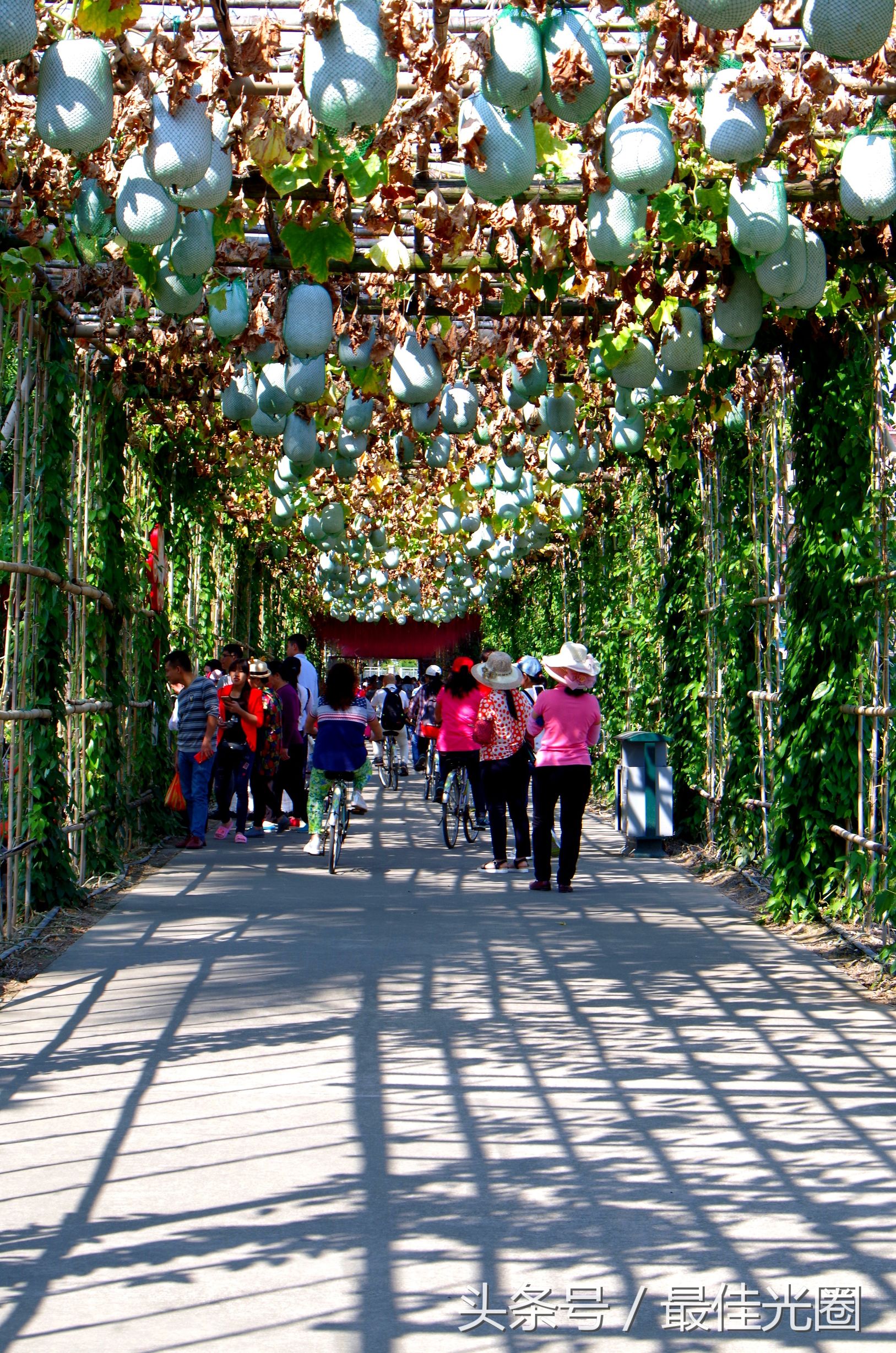 东涌绿道长廊有水玩吗,东涌绿道在哪里