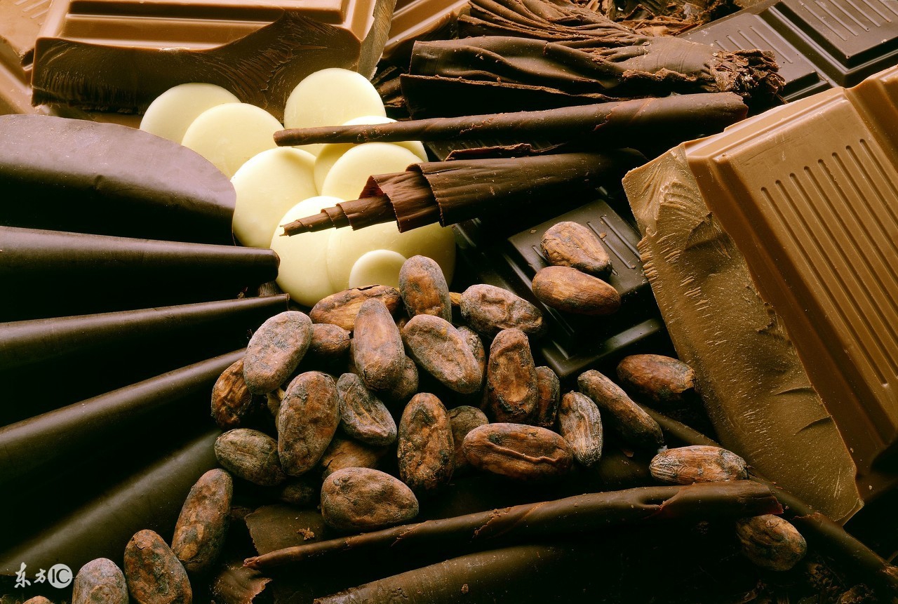 乱投喂动物的危害,泰迪狗是怎么引起肾不好