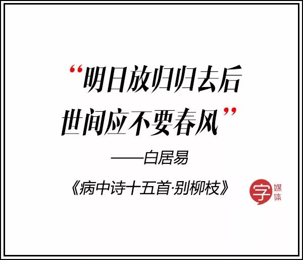 双宋cp大婚完整视频,双宋cp婚礼是真的吗