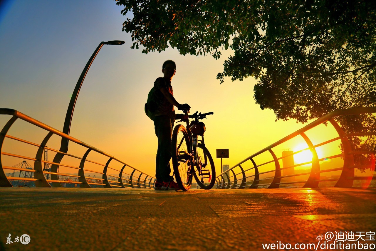 短线是银免费阅读,短线是银长线是金