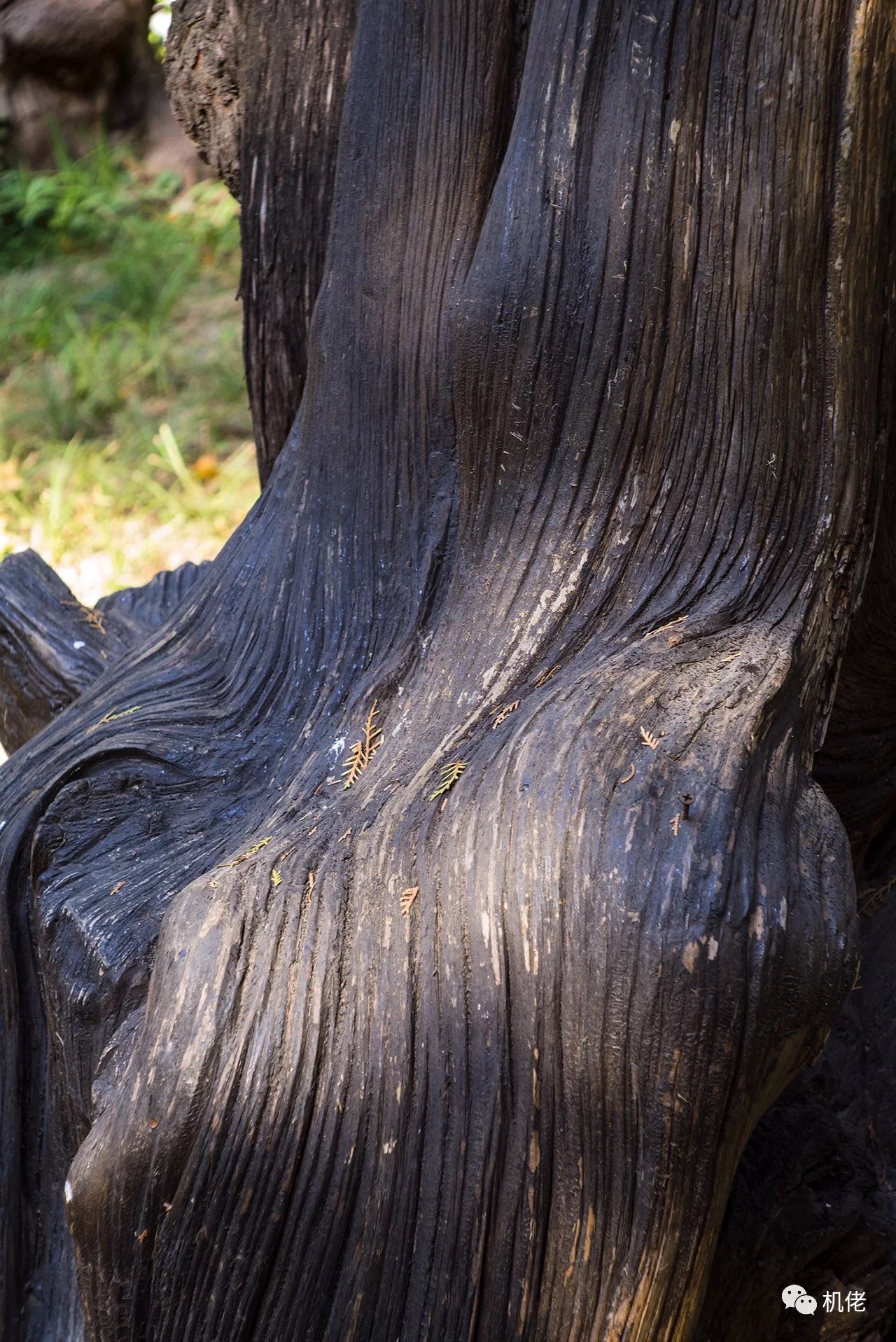 徕卡最顶级的m90镜头,徕卡90镜头展示