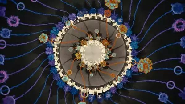 依旧「死不正经」，这部电影不服不行