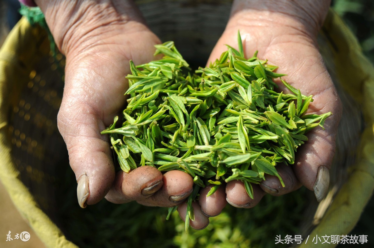 正山小种味道的特点,正山小种的香味及汤色口感