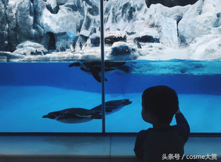 带0-3岁小孩去哪里玩,孩子0-3岁带她去哪里玩