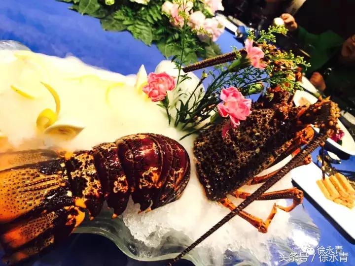 老徐会客厅完整视频,扬州老徐会客厅