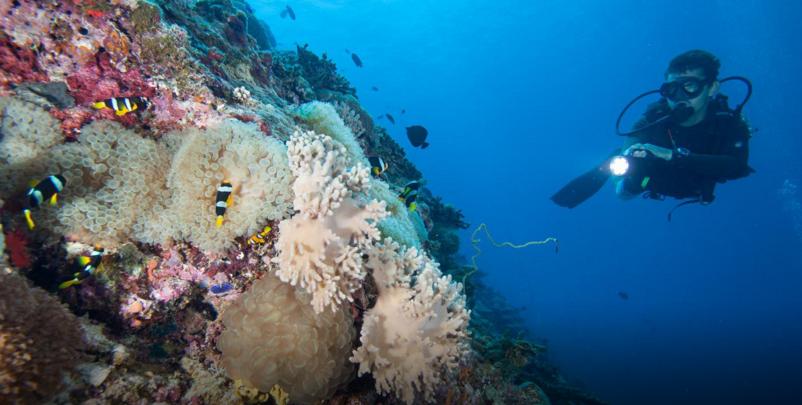 海岛自由行选岛攻略,如何玩转海岛奇兵
