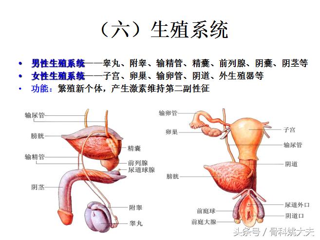 老年人护理基础知识大全,老年人的护理与保健知识