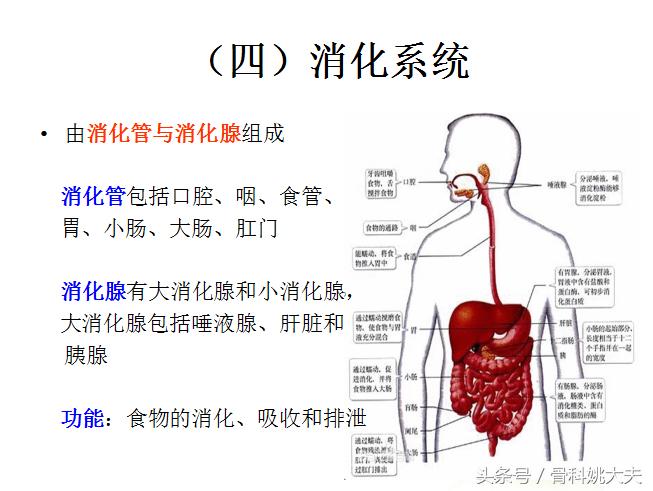 老年人护理基础知识大全,老年人的护理与保健知识