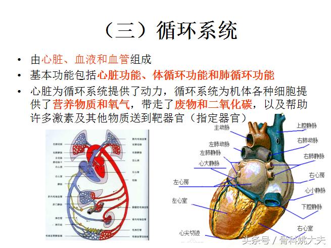 老年人护理基础知识大全,老年人的护理与保健知识