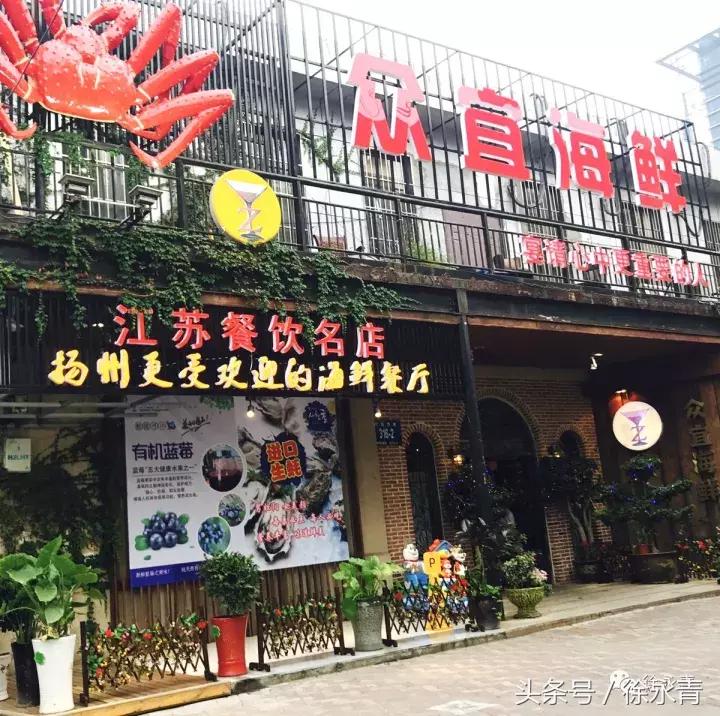 老徐会客厅完整视频,扬州老徐会客厅