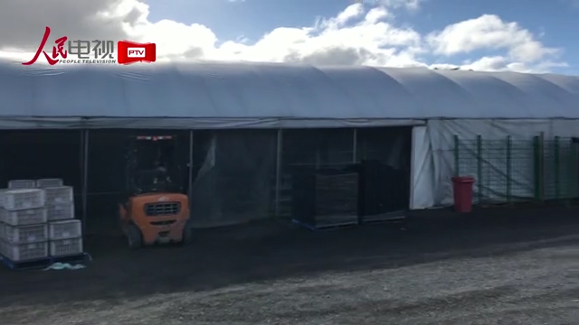 珀斯和堪培拉华人比例,堪培拉华人是中国人吗