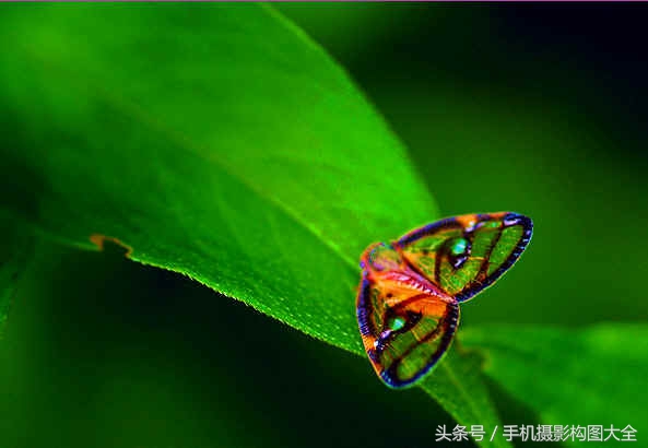 九宫格构图的构图思路,九宫格巧妙技法