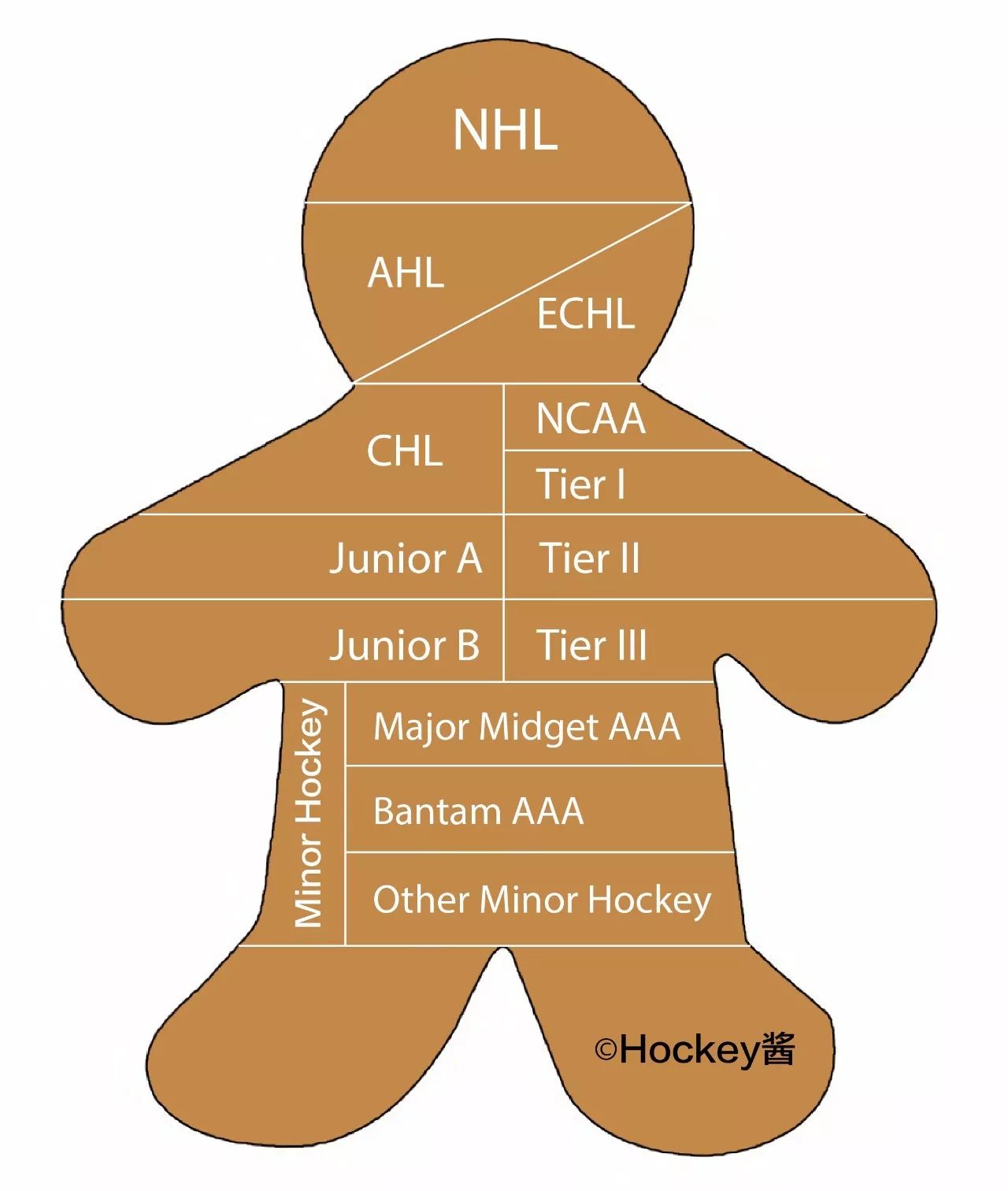 冰球在加拿大受欢迎吗,想送孩子去加拿大