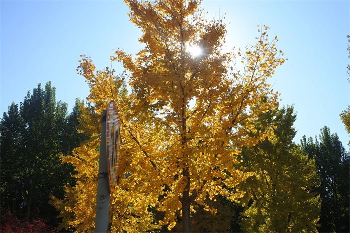 尼康微单相机j5的价格,尼康j5特点