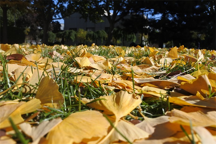 尼康微单相机j5的价格,尼康j5特点