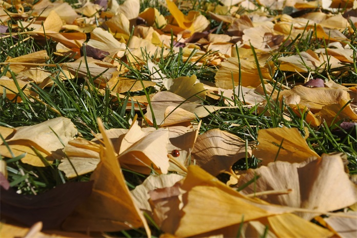 尼康微单相机j5的价格,尼康j5特点