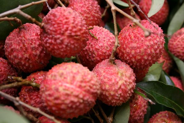 云无心博士,云无心食品科普