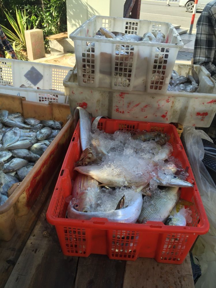 亲子三亚游，什么标题都不如这句话！