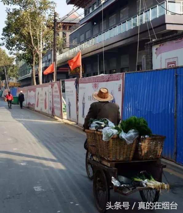 烟台莱州农村大爷视频,莱州卖菜老人