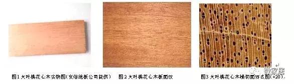 桃花心木品种大全图片,桃花心木是有纹的好还是没有的好