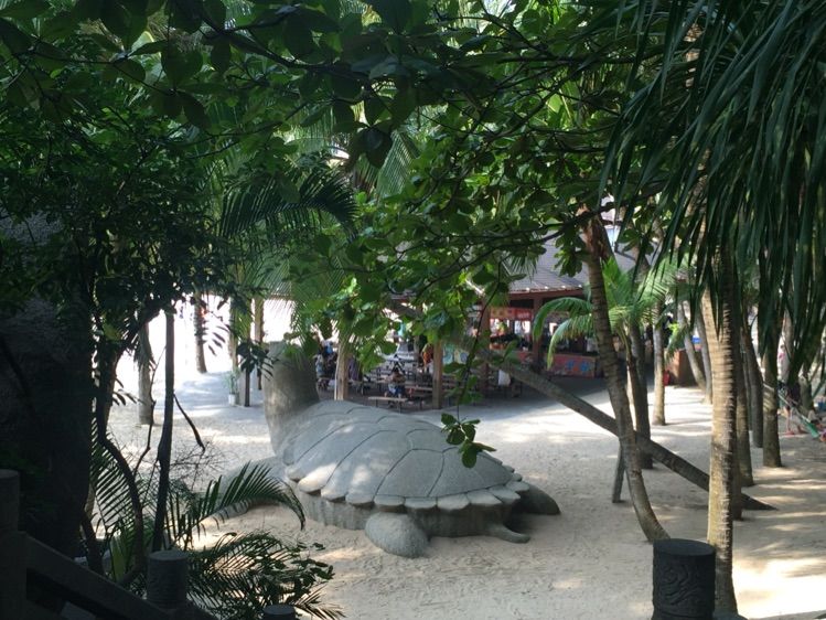 亲子三亚游，什么标题都不如这句话！