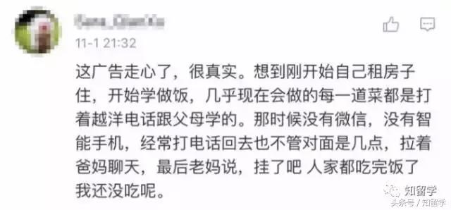 留学生与番茄炒蛋,一盘番茄炒蛋完整版