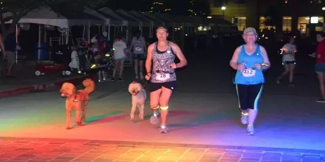 狗狗夜里总乱叫这一招真的灵,夜里狗狗乱叫是怎么回事