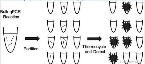 lncrna研究思路,如何研究lncrna的作用机制