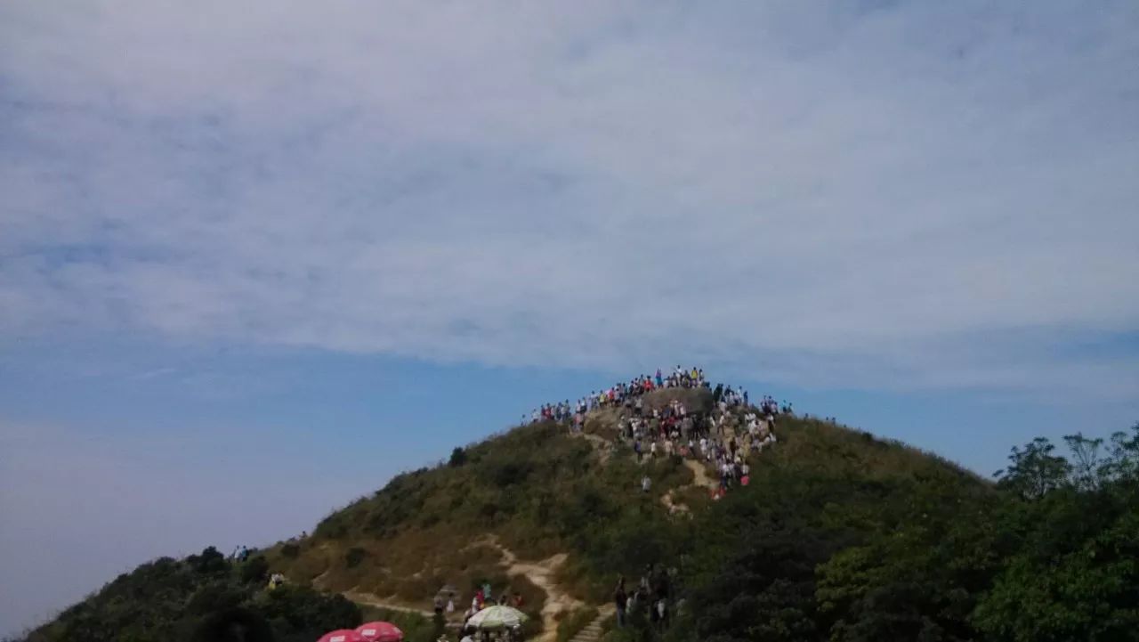 鹏城第一峰梧桐山要不要门票,鹏城第一峰梧桐山是大梧桐吗