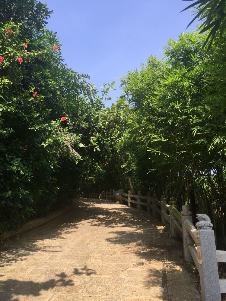 亲子三亚游，什么标题都不如这句话！