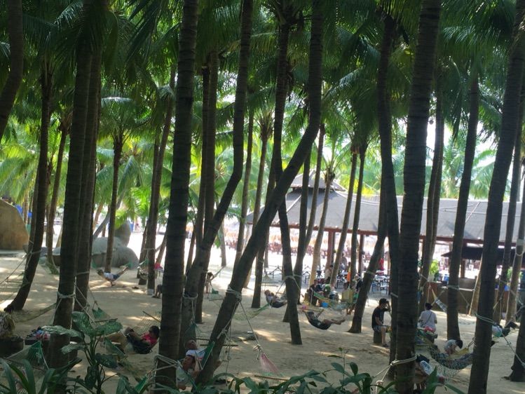 亲子三亚游，什么标题都不如这句话！