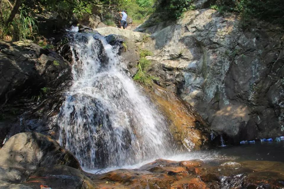 鹏城第一峰梧桐山要不要门票,鹏城第一峰梧桐山是大梧桐吗