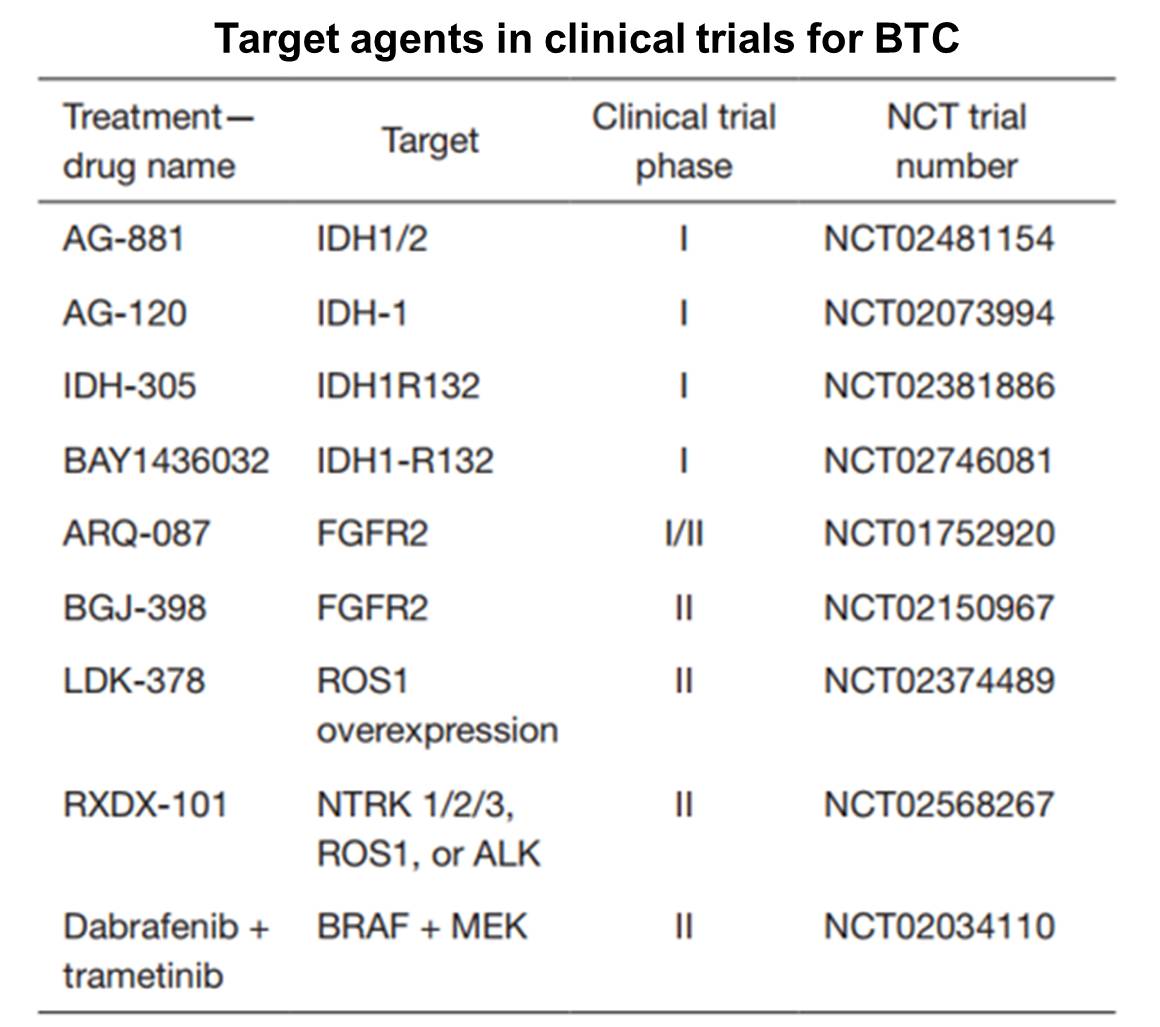 胆管癌免疫加靶向可以长期生存,胆管癌用了免疫药和靶向药费用